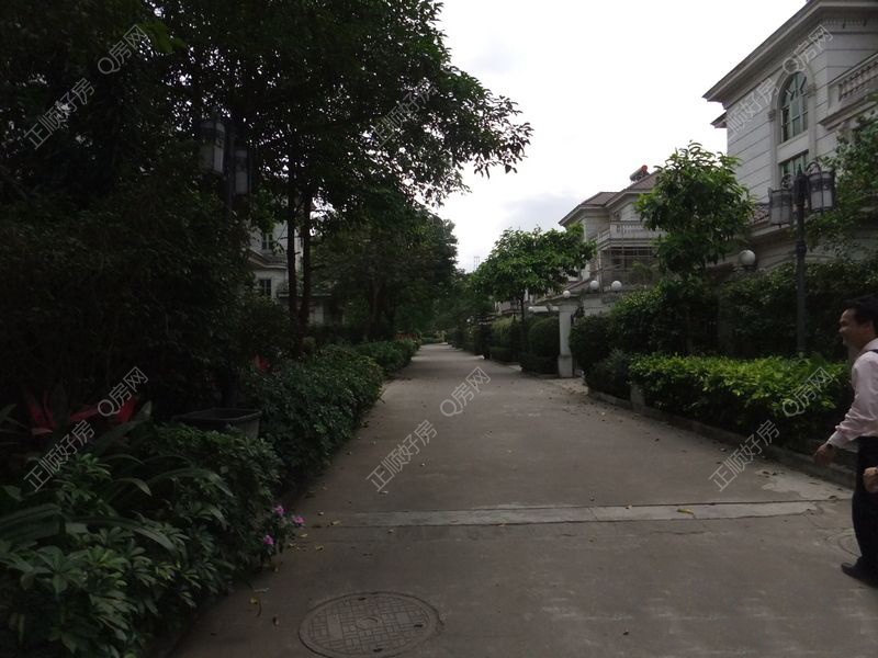 实景图