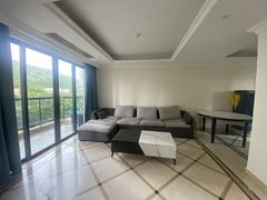 FDA4BF74-5699-4FEE-B715-DB0FAAE27D38