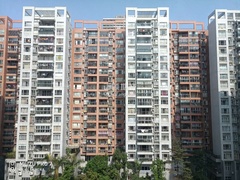 九洲时代反面楼体 (2).jpg