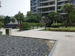 微信图片_20190311122641.jpg