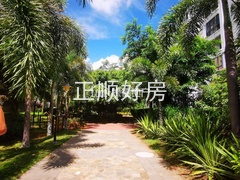 s4B356E4DD1C249BB8360D08B1CAD30EA.jpg
