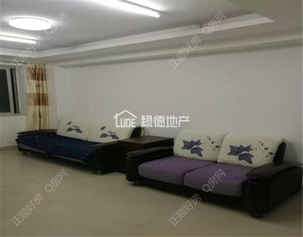 sD2933EEF340646D1ADFA8C98510843D4.jpg