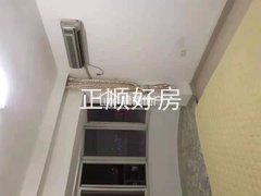 s19CB75FBD75B4D95B977CDE5CA191C60.jpg
